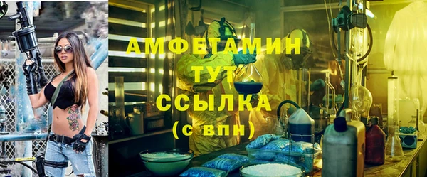 шишки Вяземский